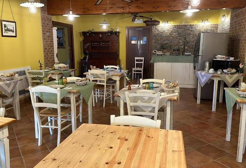 Номер Стандарт, La Corte Dell Ulivo