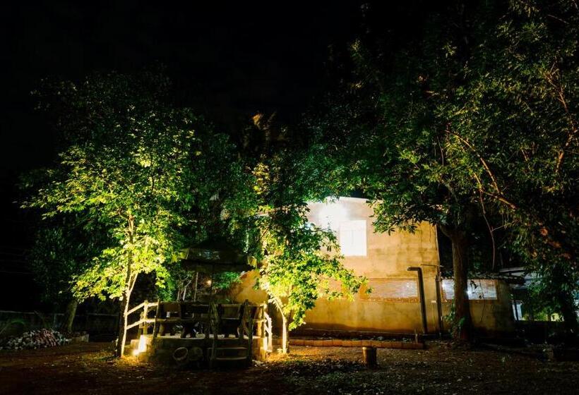 スタンダードトリプルルーム, Savenndra