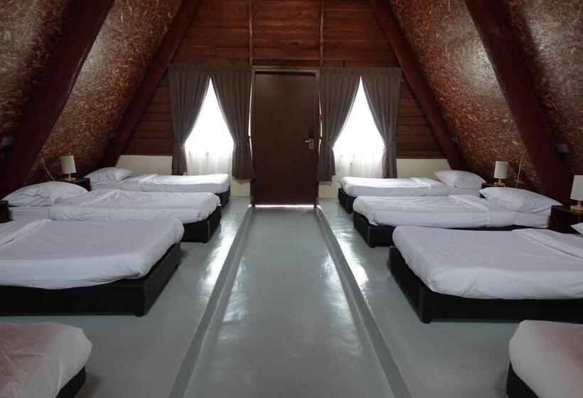 Семейный Номер, Senta Adventure Camp & Resort