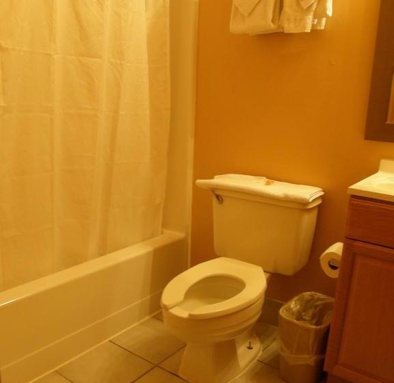 غرفة قياسية سرير كينج, Americas Best Value Inn Stone Mountain Atlanta E