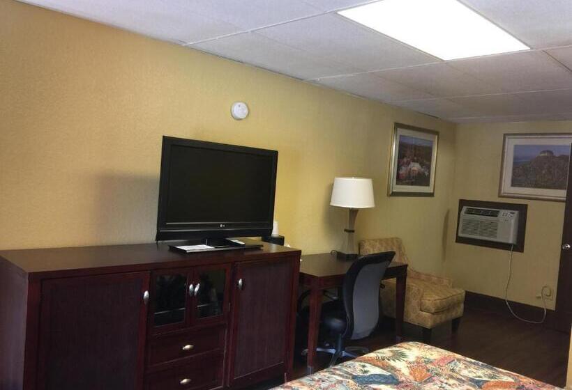 스탠다드 룸 킹사이즈 침대, Americas Best Value Inn Stone Mountain Atlanta E