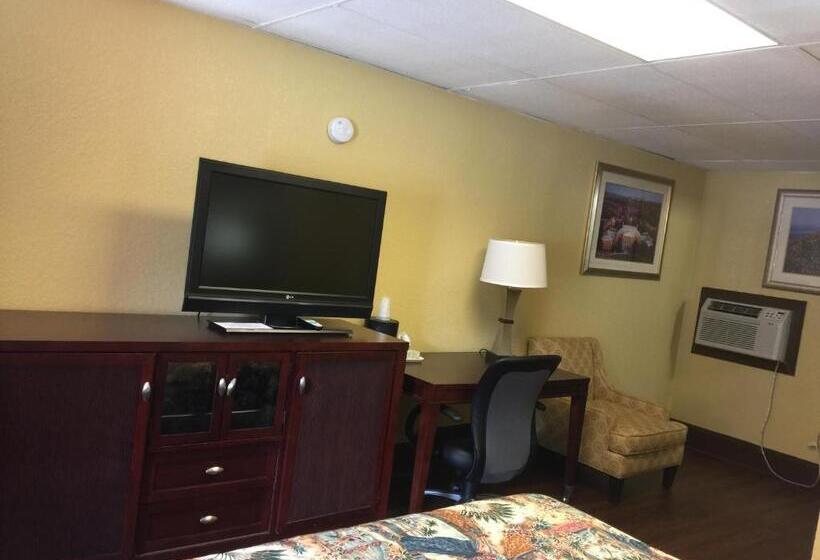 غرفة قياسية سرير كينج, Americas Best Value Inn Stone Mountain Atlanta E