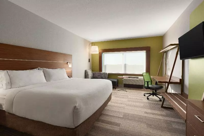 Standard-invahuone King-vuode, Holiday Inn Express & Suites Edinburg Mcallen Area, An Ihg