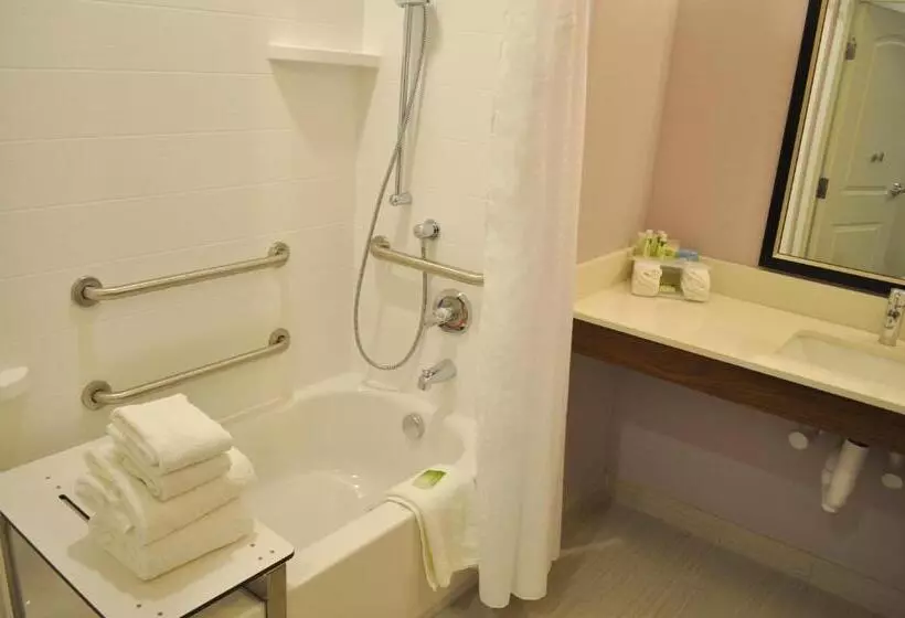 スイート, Holiday Inn Express & Suites Price, An Ihg