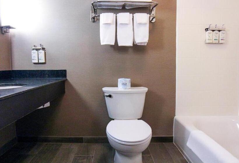 اتاق استاندارد, Holiday Inn Owensboro Riverfront, An Ihg