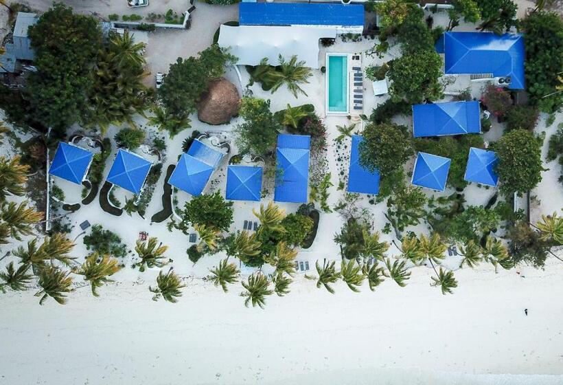 스탠다드 방갈로, Indigo Beach Zanzibar