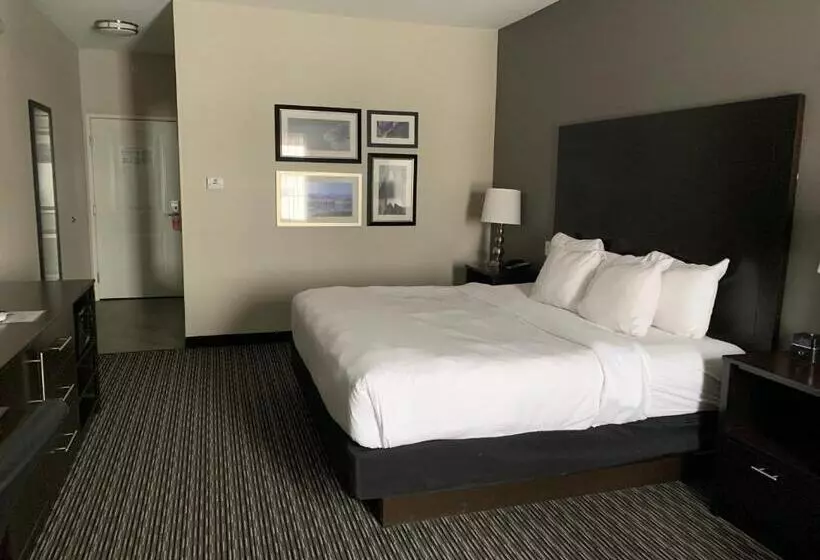 身障者適用キングサイズベッドルーム, La Quinta By Wyndham Billings