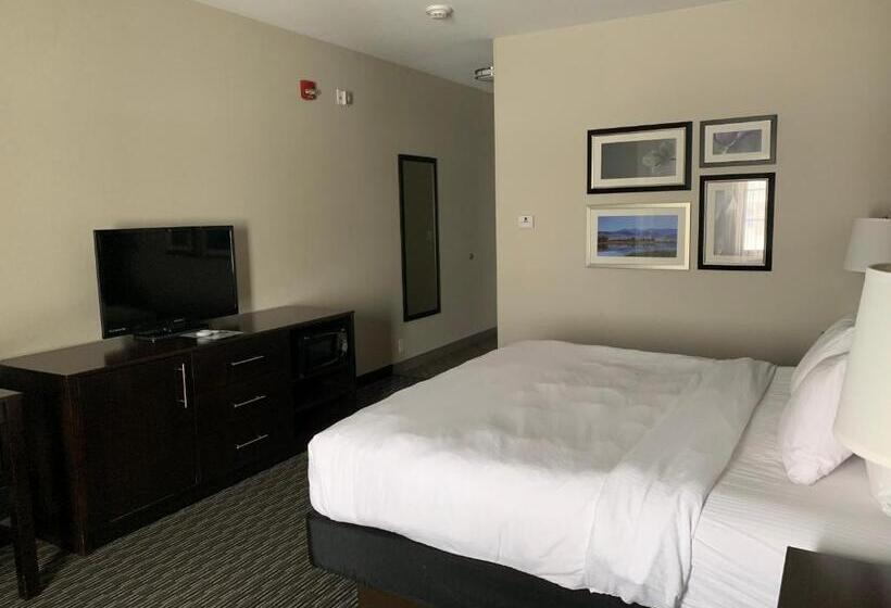 חדר סטנדרט, מיטת קינג, מותאם לאדם עם מוגבלויות, La Quinta By Wyndham Billings