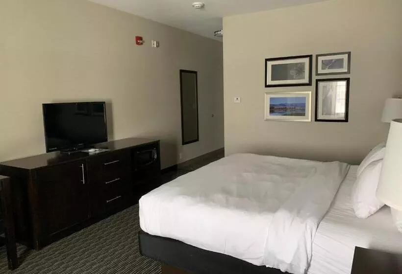 身障者適用キングサイズベッドルーム, La Quinta By Wyndham Billings