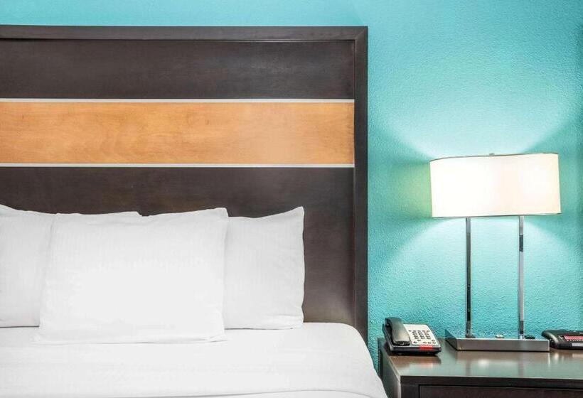 适合残疾人使用的标准间, Spark By Hilton Little Rock West