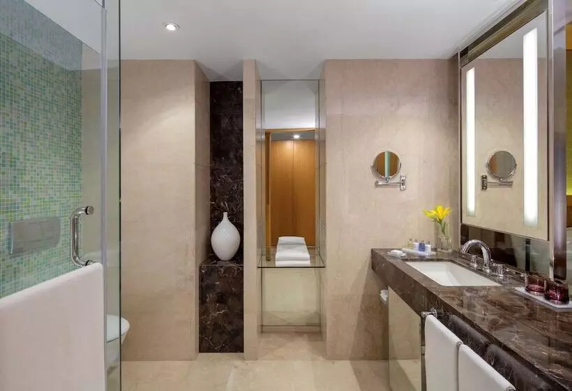 スーペリアールーム, Radisson Blu Hotel Guwahati