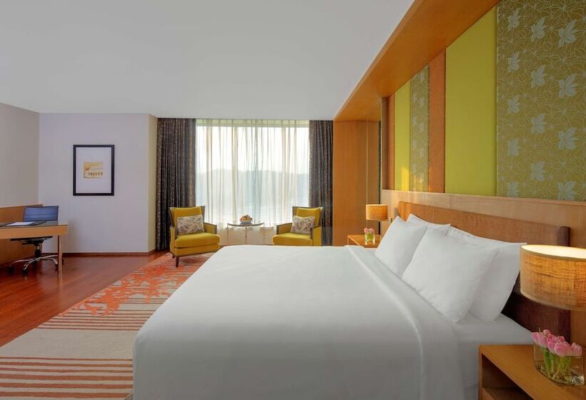 高级大房间, Radisson Blu Hotel Guwahati