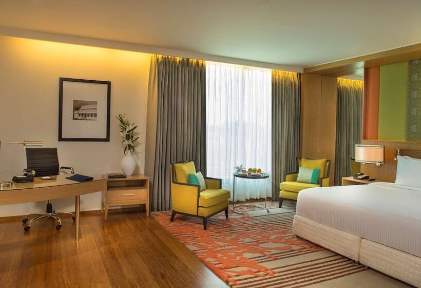商务房间, Radisson Blu Hotel Guwahati