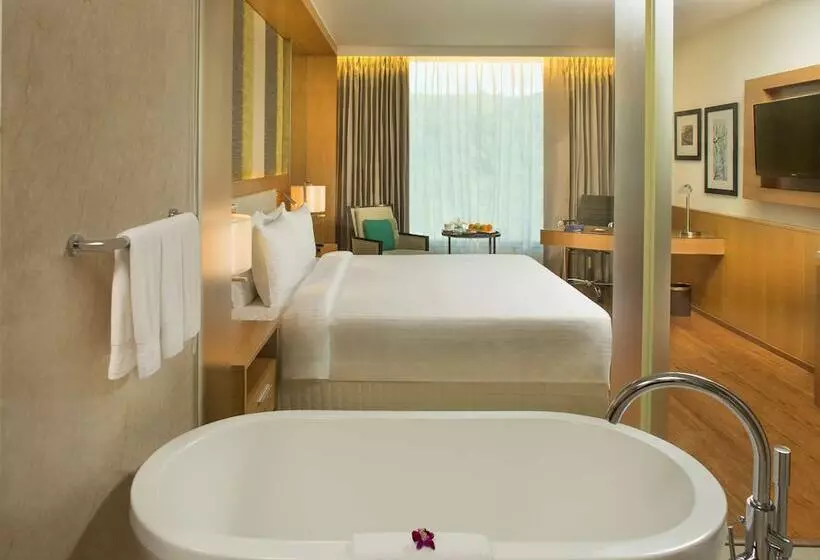 デラックスルーム, Radisson Blu Hotel Guwahati