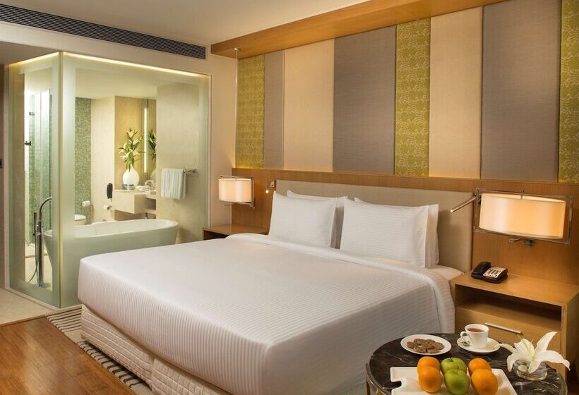 豪华房间, Radisson Blu Hotel Guwahati