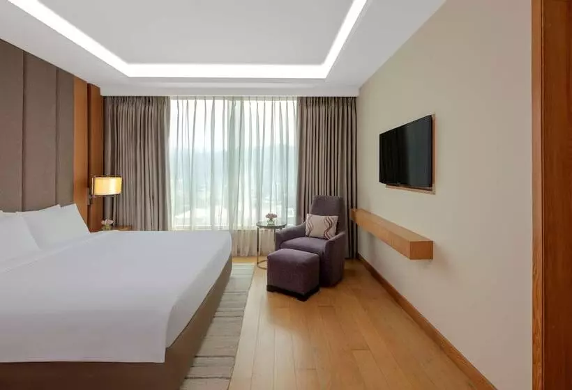 スイート, Radisson Blu Hotel Guwahati