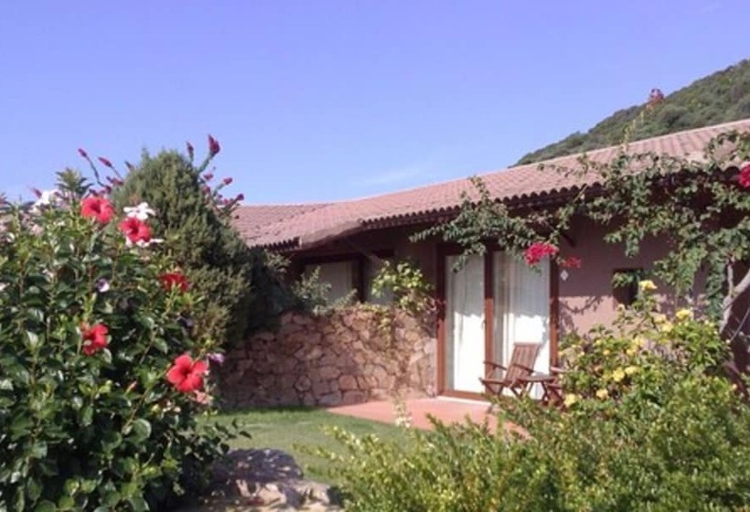 스탠다드 룸, Spartivento