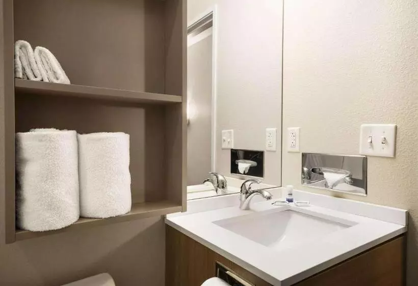 スタンダードルーム, Microtel Inn & Suites By Wyndham