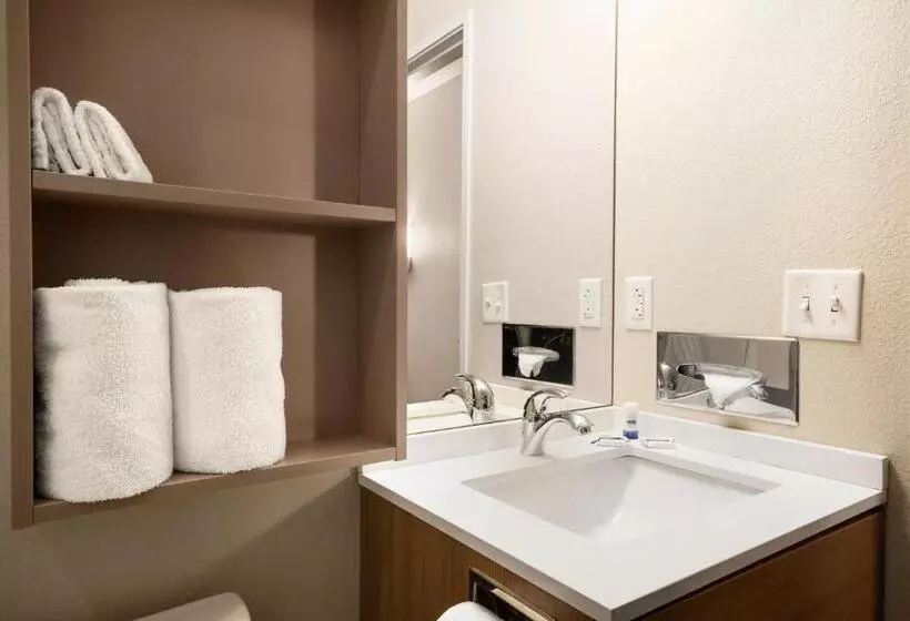 スタンダードルーム, Microtel Inn & Suites By Wyndham