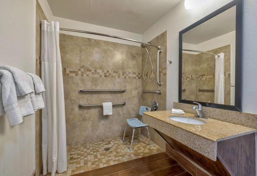 غرفة قياسية سرير كينج لذوى الإحتياجات الخاصة, Motel 6bryan, Tx  College Station