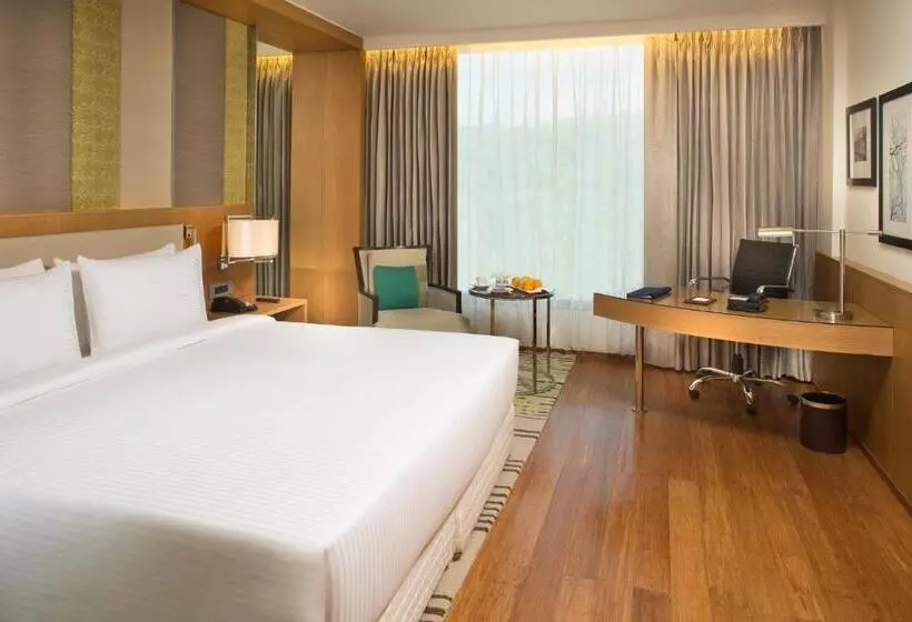 スーペリアールーム, Radisson Blu Hotel Guwahati