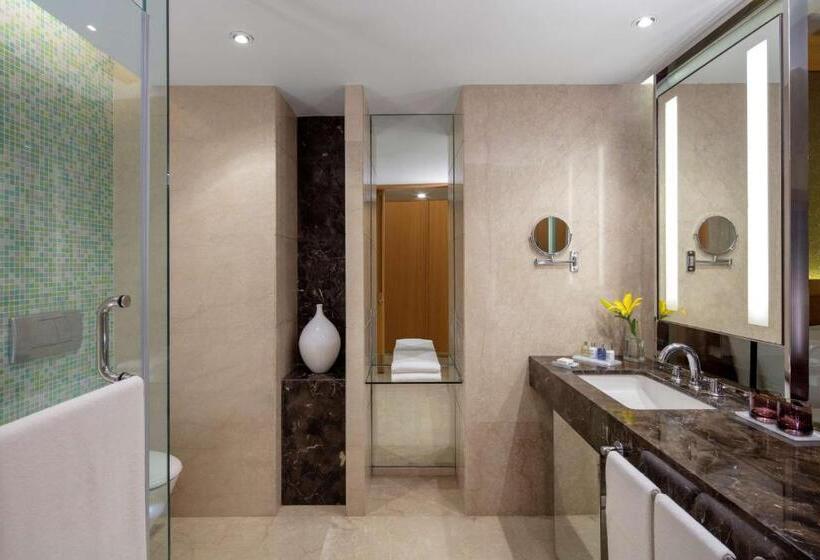 高级大房间, Radisson Blu Hotel Guwahati