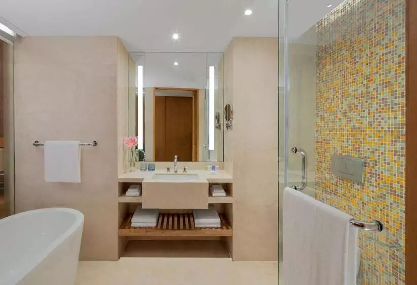 ビジネスルーム, Radisson Blu Hotel Guwahati