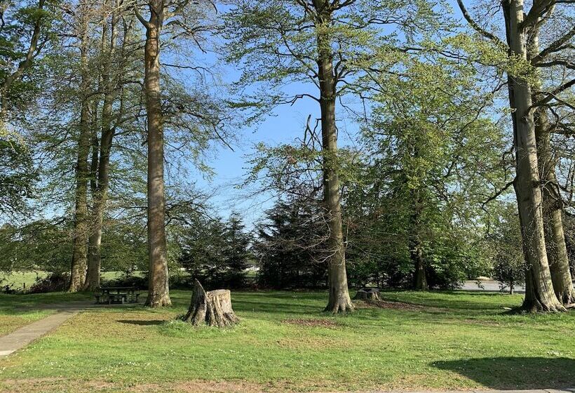 スタンダードルーム, The Bannville