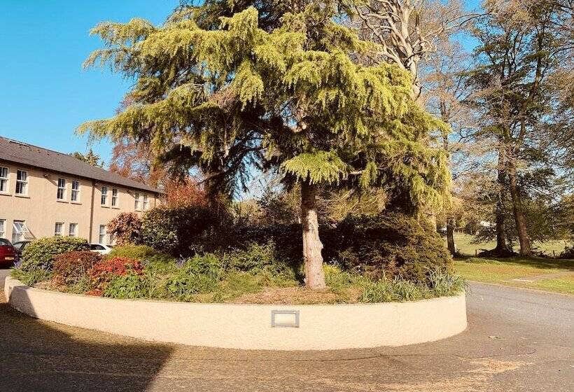 Номер Стандарт, The Bannville