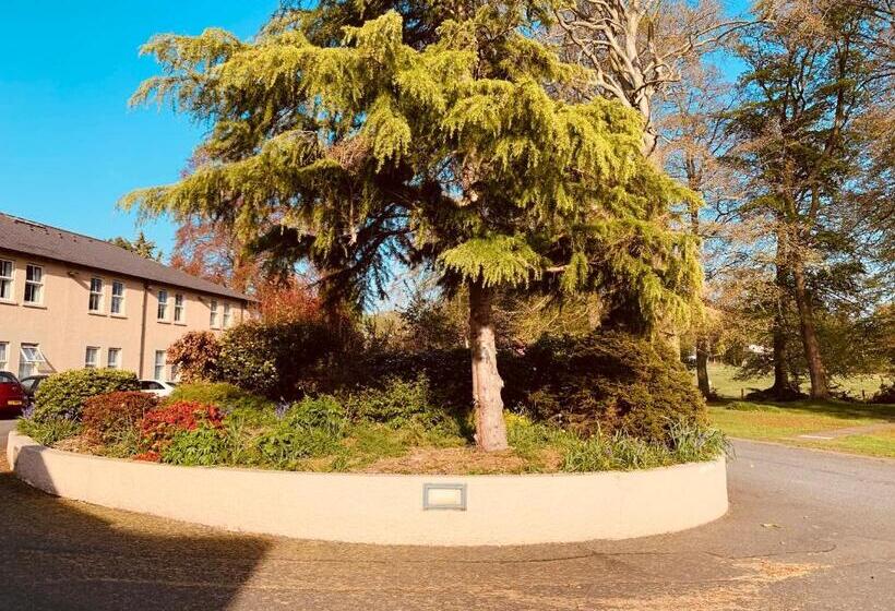 스탠다드 트리플 룸, The Bannville