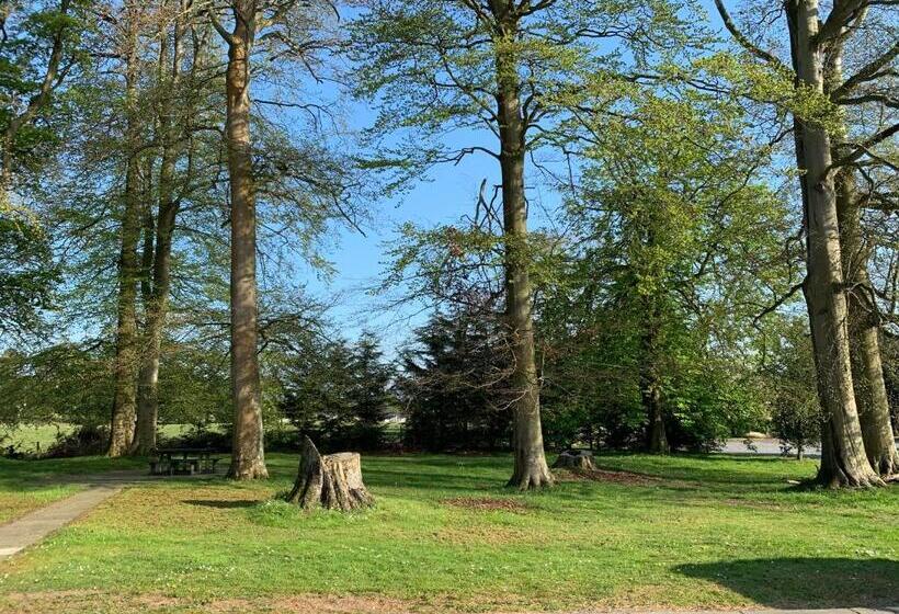 이그제큐티브 스위트, The Bannville