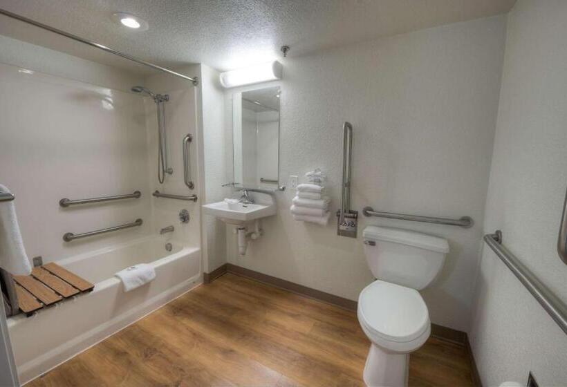 غرفة قياسية لذوى الاحتياجات الخاصة, Motel 6branford, Ct  New Haven