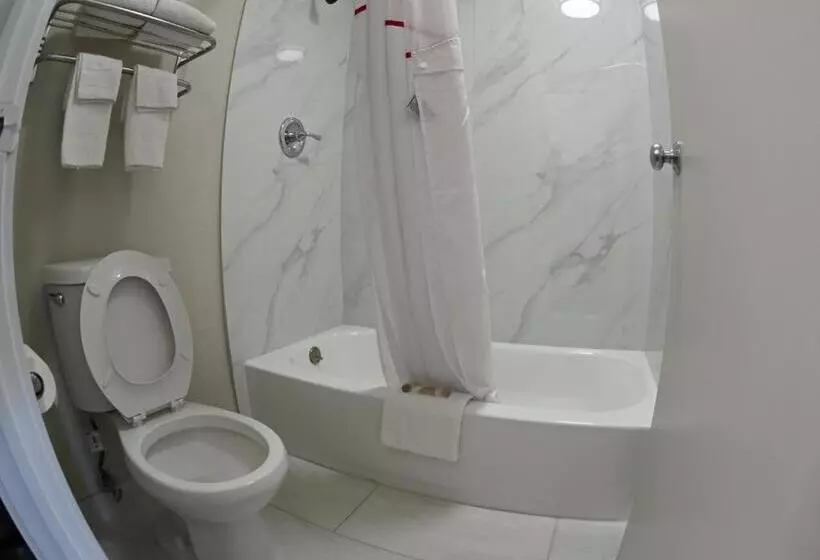 キングサイズベッドのスーペリアルーム, Red Roof Inn Spartanburg  I85