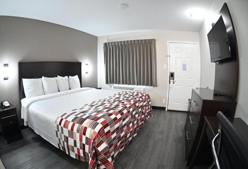 غرفة سوبيريور لذوى الاحتياجات الخاصة, Red Roof Inn Spartanburg  I85