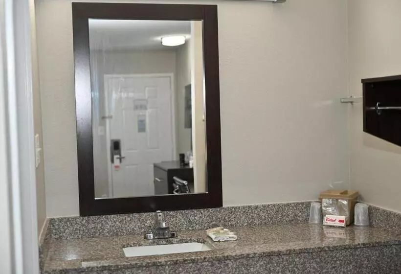 キングサイズベッドのデラックスルーム, Red Roof Inn Spartanburg  I85