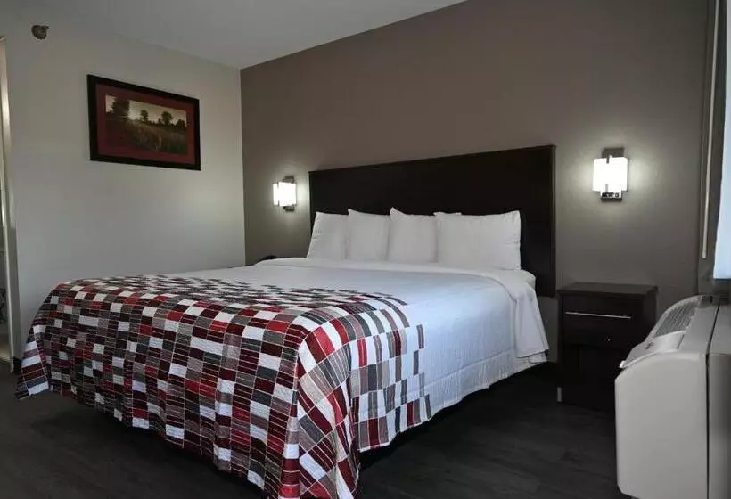 キングサイズベッドのデラックスルーム, Red Roof Inn Spartanburg  I85
