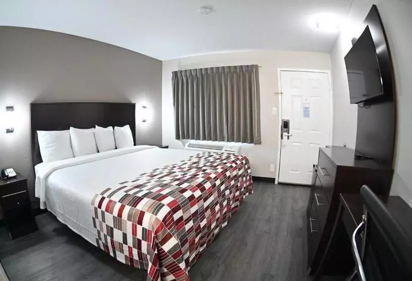 キングサイズベッドのデラックスルーム, Red Roof Inn Spartanburg  I85