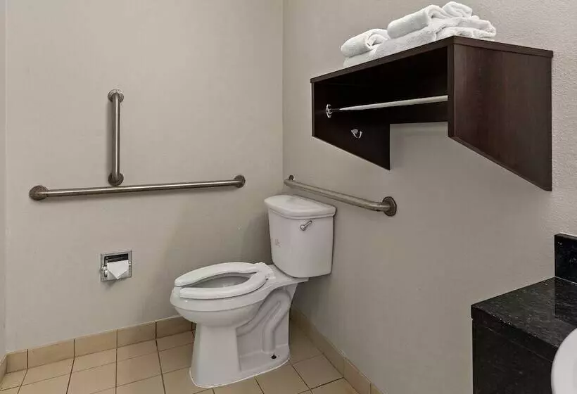 身障者適用スーペリアールーム, Red Roof Inn Spartanburg  I85