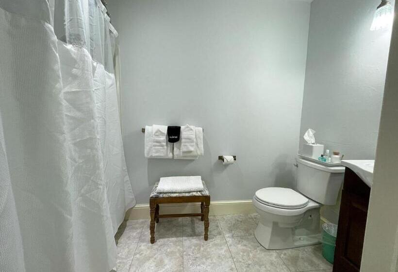 חדר סטנדרט עם מיטת קינג, Meadows Inn