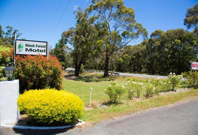 חדר משפחתי, Black Forest Motel