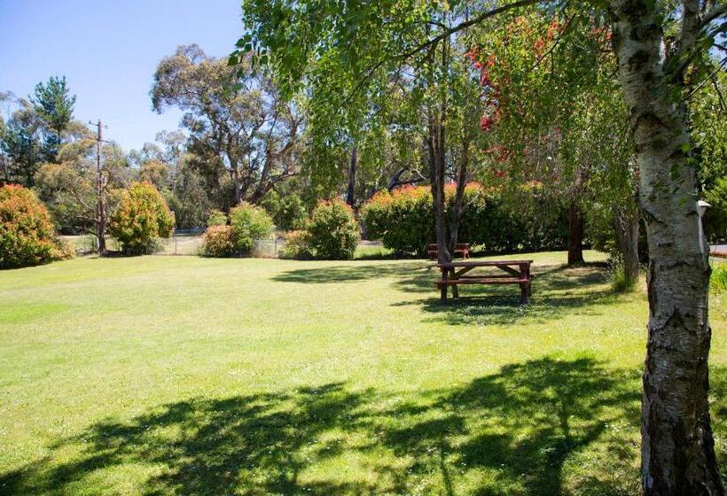 חדר משפחתי, Black Forest Motel