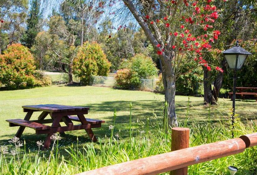 חדר דלוקס, Black Forest Motel