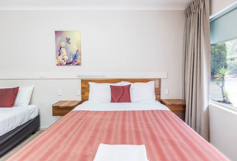 חדר סטנדרט, Black Forest Motel