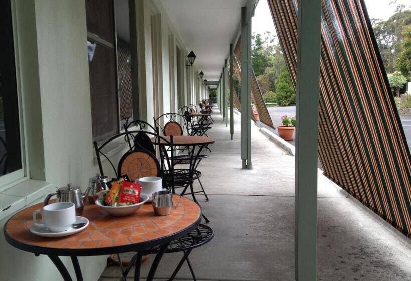 חדר דלוקס, Black Forest Motel