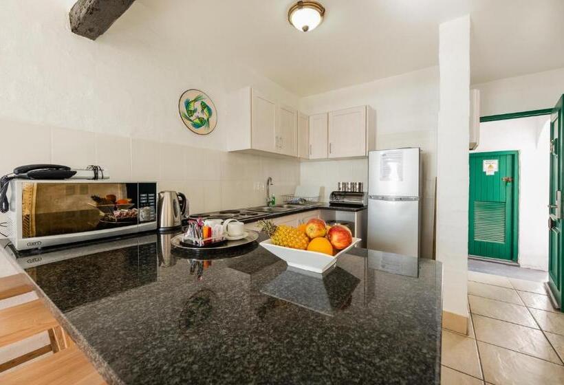 침실 1개 바다 전망 아파트, Club Mykonos Langebaan