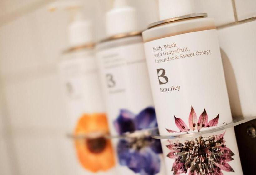 高级大房间, Bel And The Dragon Churt