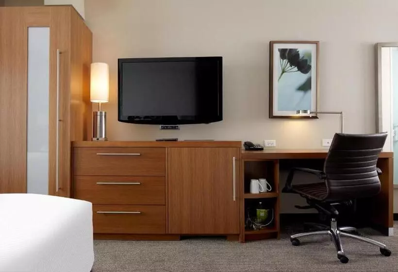 身障者適用スイートルーム, Hyatt Place Lincoln/downtown Haymarket