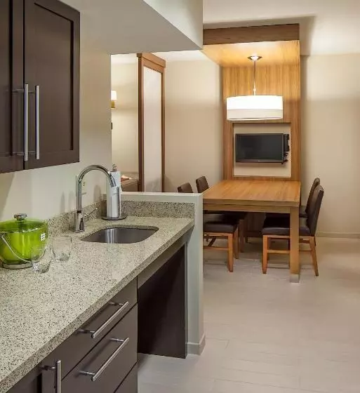 身障者適用スイートルーム, Hyatt Place Lincoln/downtown Haymarket