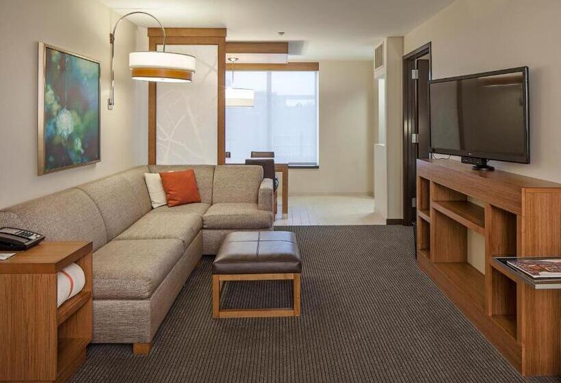 适合残疾人士使用的套间, Hyatt Place Lincoln/downtown Haymarket