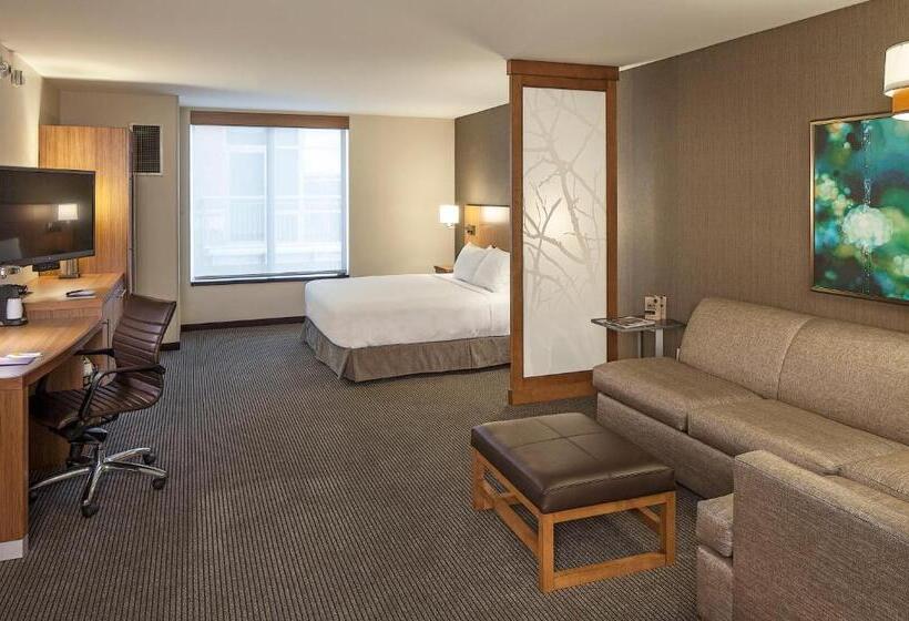 Номер Стандарт Адаптированный для Инвалидов, Hyatt Place Lincoln/downtown Haymarket